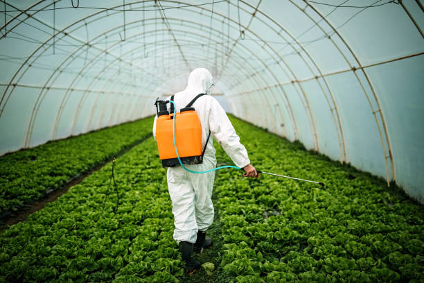 Best Affordable Pest Control Services  in Mansfield, OH