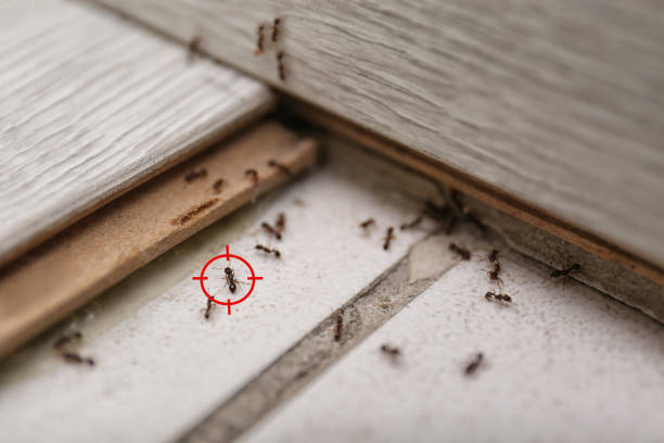 Best Emergency Pest Control  in Mansfield, OH
