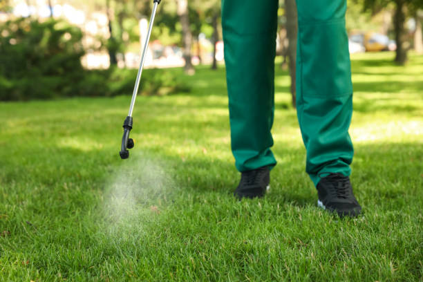 Best Bed Bug Extermination  in Mansfield, OH