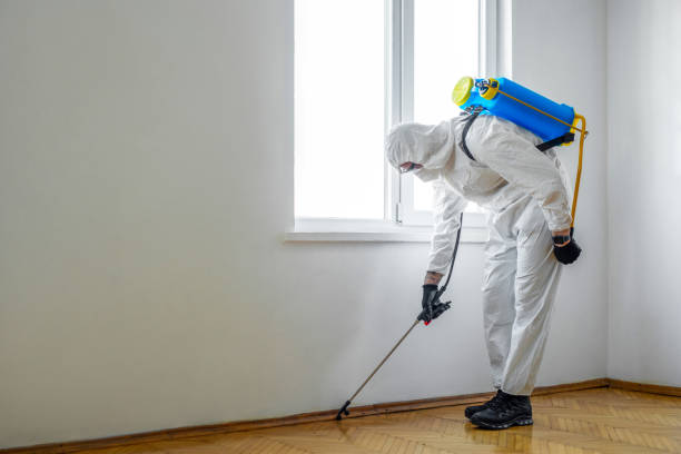 Wasp Removal Services in Mansfield, OH