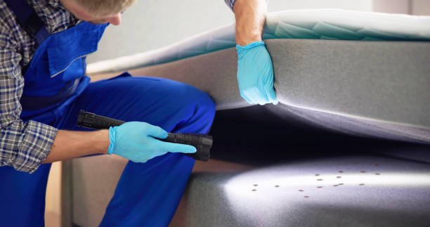 Best Termite Control Services  in Mansfield, OH