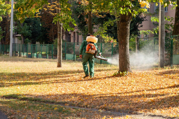 Best Cockroach Control Services  in Mansfield, OH