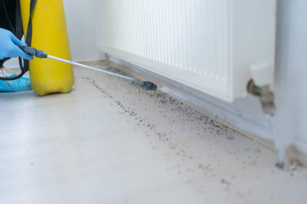Best Local Pest Control Services  in Mansfield, OH