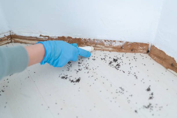 Best Insect Control  in Mansfield, OH